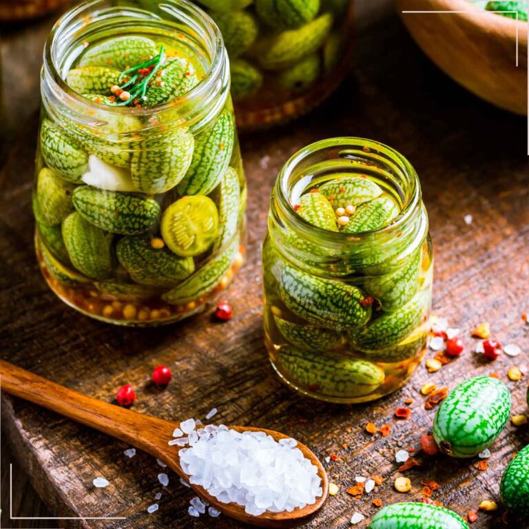 Como Fazer Picles em conserva - Pepino