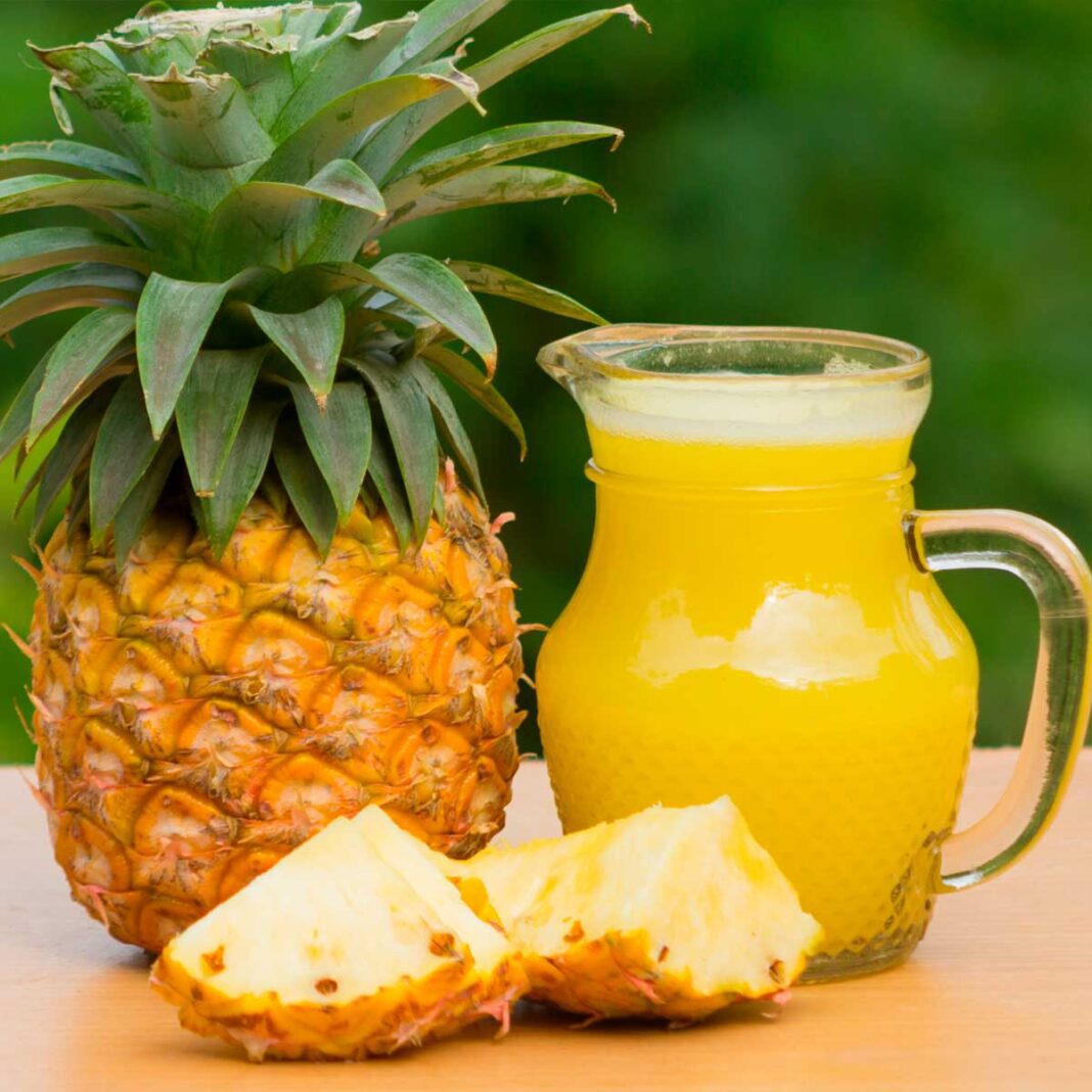 Receita de Suco de Abacaxi Cremoso 2026